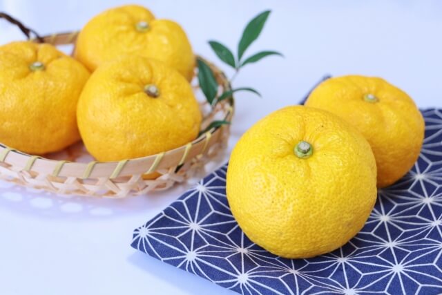 冬至 ゆず湯