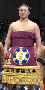 炎鵬