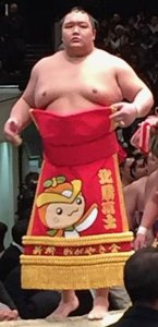 北勝富士