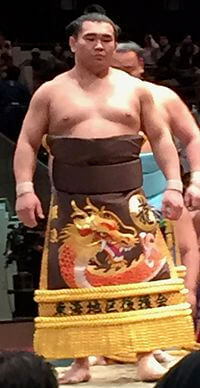 照強