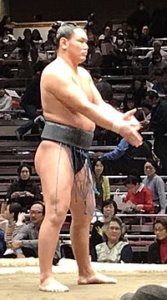 豊昇龍