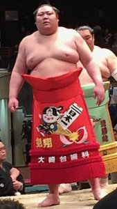 剣翔